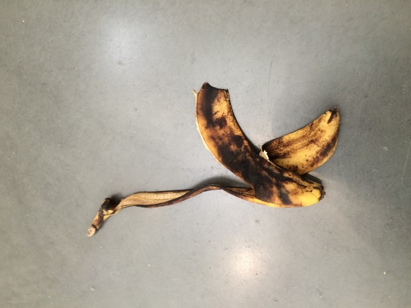 Banan instillasjon av Adriana Lara. Foto Henning Høholt