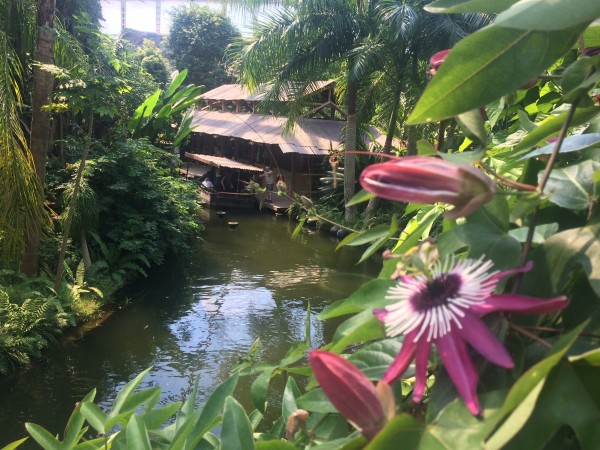 Gondwanaland, it is possible to take a boat ride at the Pathe river passing through the Leipzig Zoo. It is also full of beautiful exotic flowers. Foto Henning Høholt